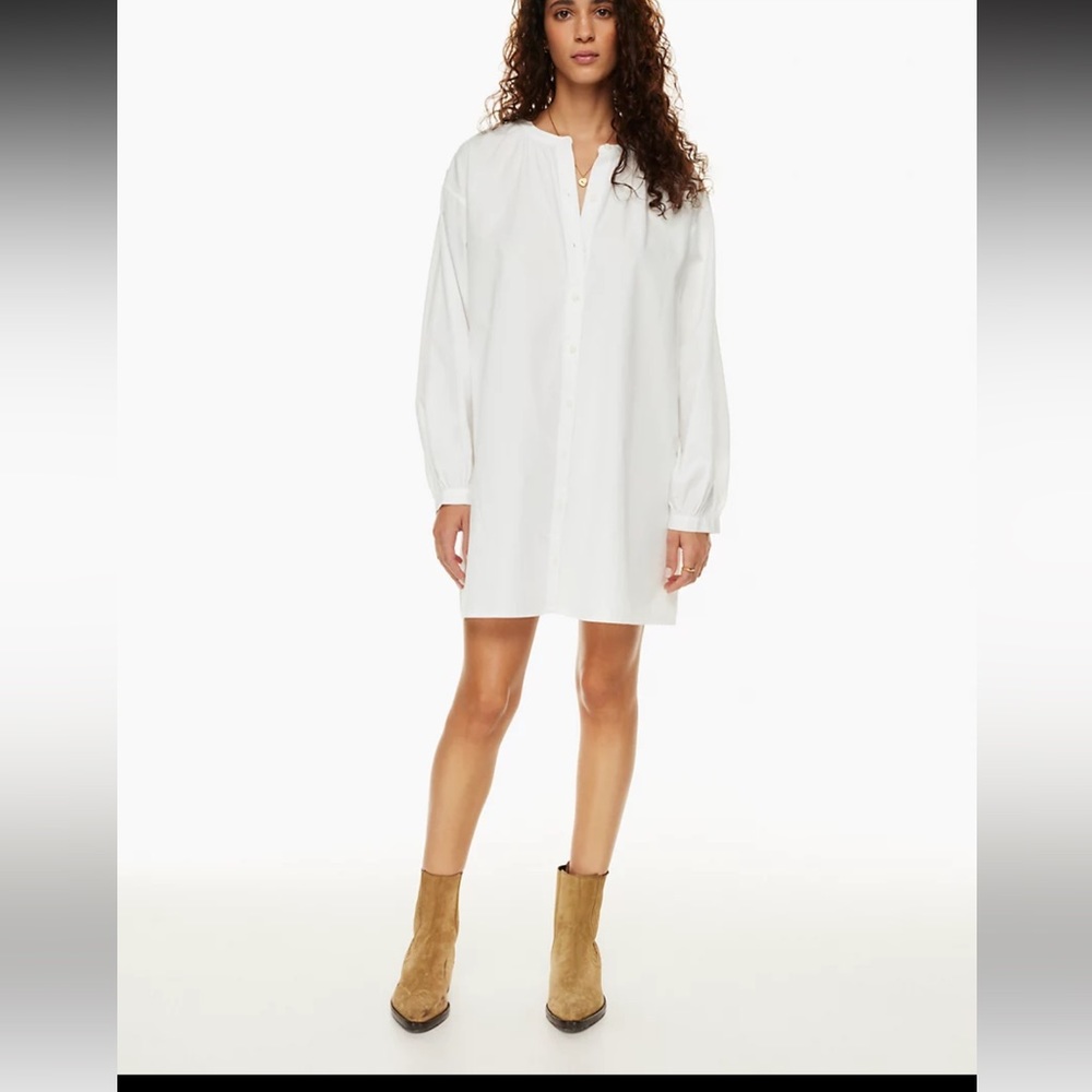 NWT Wilfred Free Tanaro Poplin Dress